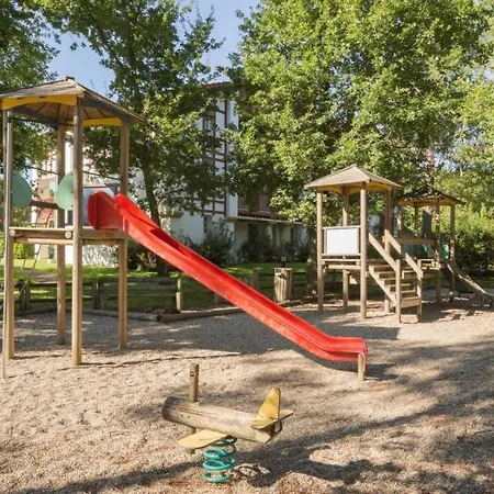 Joli Petit Renove